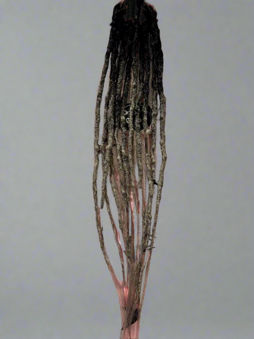 Black/Grey - Pandoras Lox Dread Shop