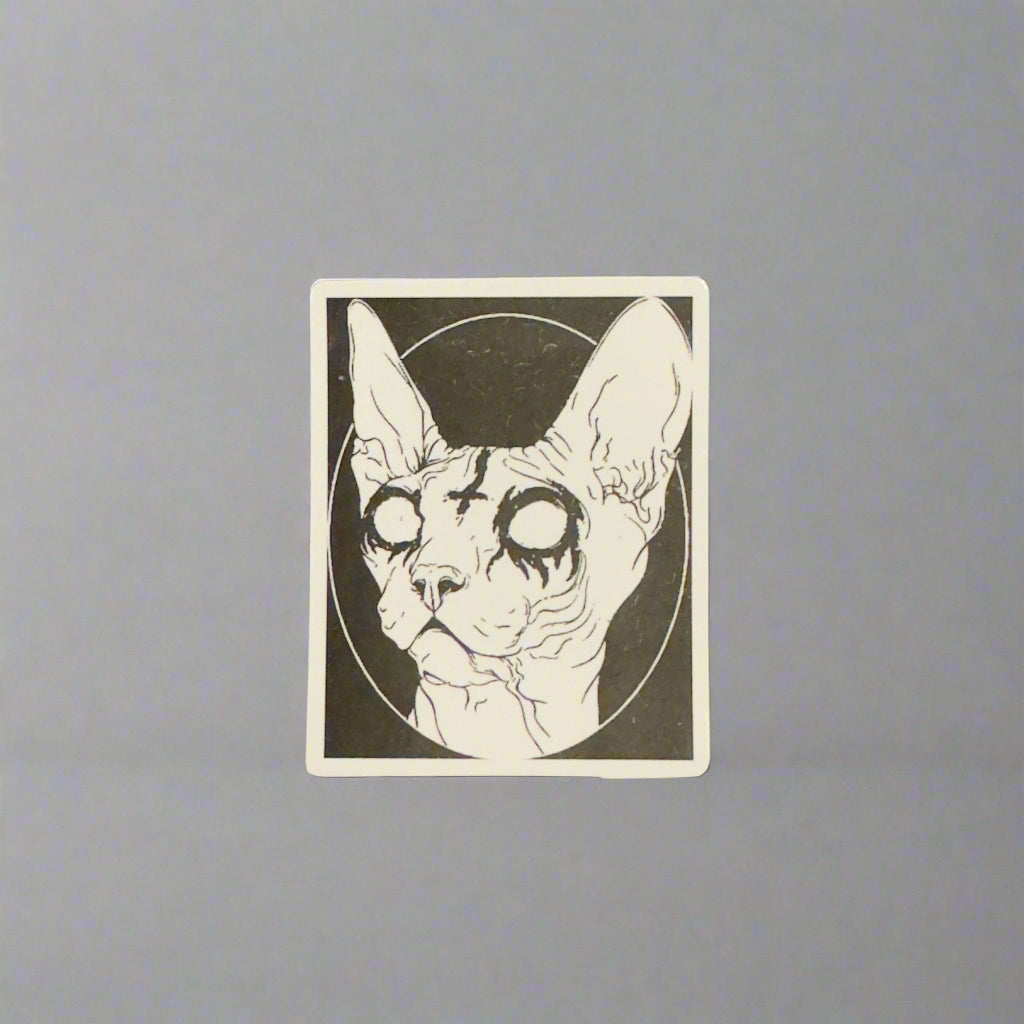 Assorted Cat Stickers